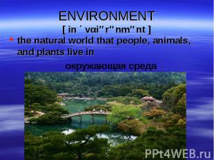 the natural world that people, animals, and plants live in the natural world tha