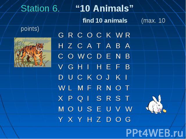 Station 6. “10 Animals” find 10 animals (max. 10 points)