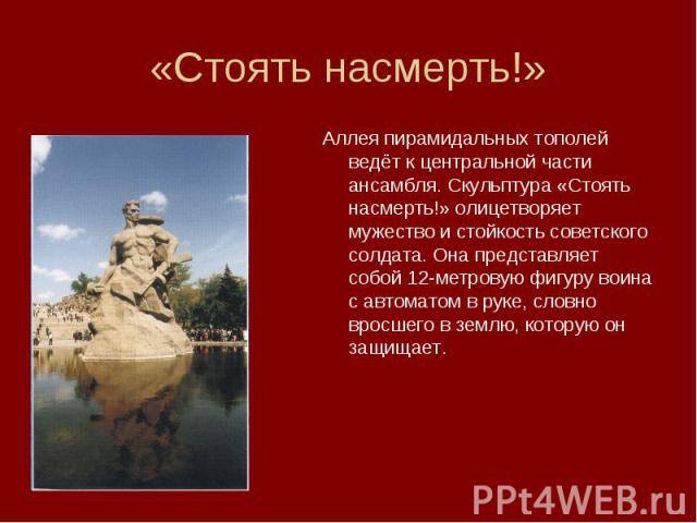 Аллея пирамидальных тополей ведёт к центральной части ансамбля. Скульптура «Стоять насмерть!» олицетворяет мужество и стойкость советского солдата. Она представляет собой 12-метровую фигуру воина с автоматом в руке, словно вросшего в землю, которую …