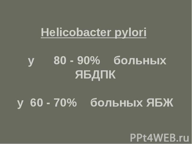 Helicobacter pylori у 80 - 90% больных ЯБДПК у 60 - 70% больных ЯБЖ