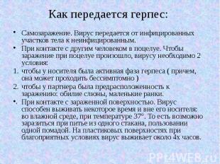 Как передается герпес: Самозаражение. Вирус передается от инфицированных участко