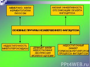 Общие реакции организма при развитии воспаления