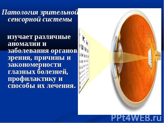 Патология зрительной сенсорной системы Патология зрительной сенсорной системы изучает различные аномалии и заболевания органов зрения, причины и закономерности глазных болезней, профилактику и способы их лечения.