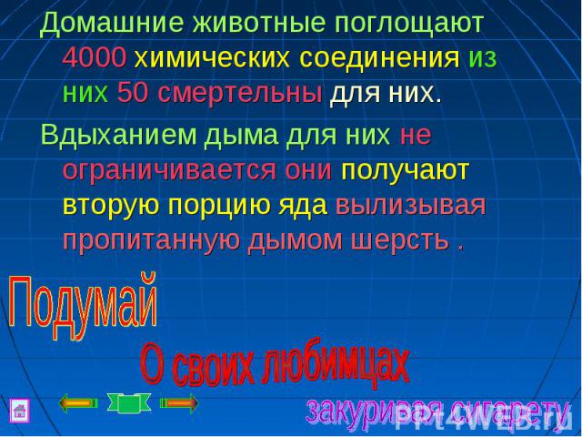 Домашние животные поглощают 4000 химических соединения из них 50 смертельны для них. Вдыханием дыма для них не ограничивается они получают вторую порцию яда вылизывая пропитанную дымом шерсть .