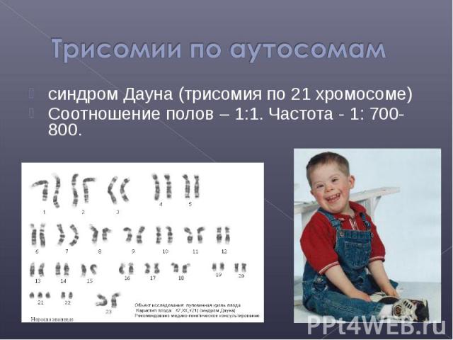 синдром Дауна (трисомия по 21 хромосоме) синдром Дауна (трисомия по 21 хромосоме) Соотношение полов – 1:1. Частота - 1: 700-800.