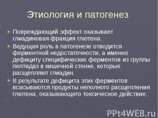 Этиология и патогенез Повреждающий эффект оказывает глиадиновая фракция глютена.