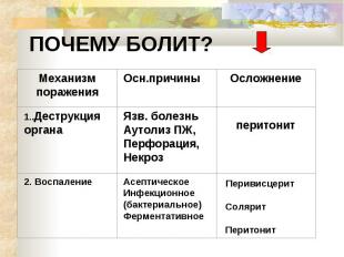 ПОЧЕМУ БОЛИТ?