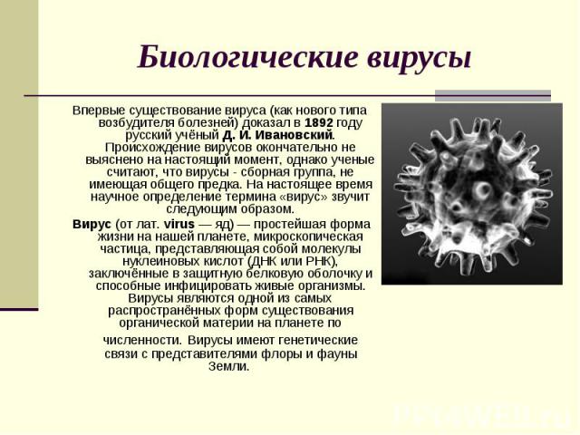 Биологические вирусы Впервые существование вируса (как нового типа возбудителя болезней) доказал в 1892 году русский учёный Д. И. Ивановский. Происхождение вирусов окончательно не выяснено на настоящий момент, однако ученые считают, ч…