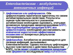 Enterobacteriaceae – возбудители внекишечных инфекций Цефотаксим или цефтриаксон