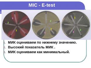 MIC - E-test МИК оцениваем по нижнему значению. Высокий показатель МИК . МИК оце