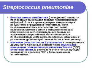 Streptococcus pneumoniae Бета-лактамные антибиотики (пенициллин) являются препар