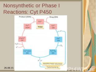 Nonsynthetic or Phase I Reactions: Cyt P450