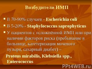 Возбудители ИМП В 70-90% случаев - Escherichia coli В 5-20% - Staphylococcus sap