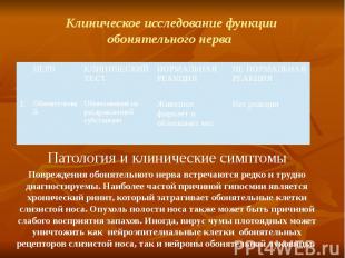 Клиническое исследование функции обонятельного нерва Патология и клинические сим