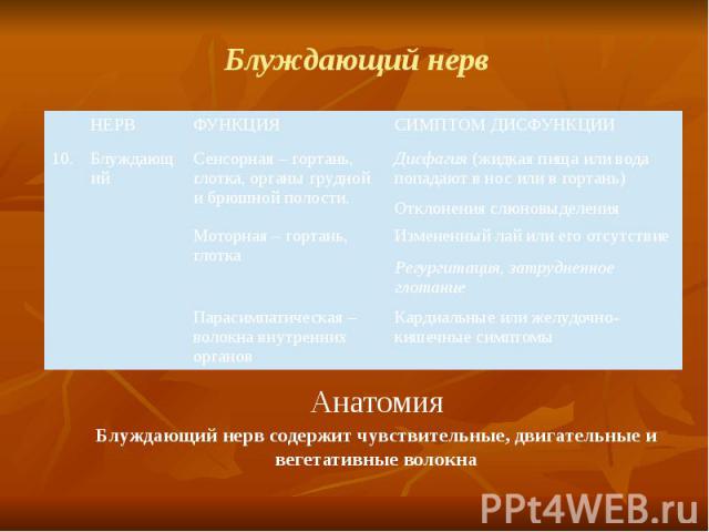 Блуждающий нерв Анатомия Блуждающий нерв содержит чувствительные, двигательные и вегетативные волокна