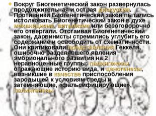 Вокруг Биогенетический закон развернулась продолжительная и острая дискуссия. Пр