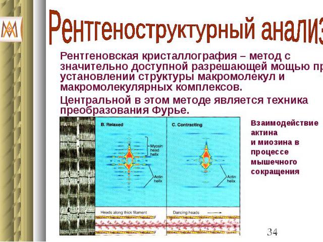 Рентгеновская кристаллография – метод с значительно доступной разрешающей мощью при установлении структуры макромолекул и макромолекулярных комплексов. Рентгеновская кристаллография – метод с значительно доступной разрешающей мощью при установлении …