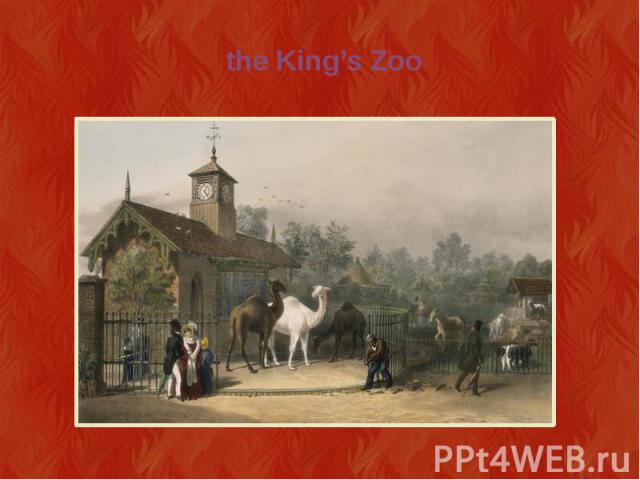 the King’s Zoo