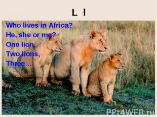 L l Who lives in Africa? He, she or me? One lion, Two lions, Three…