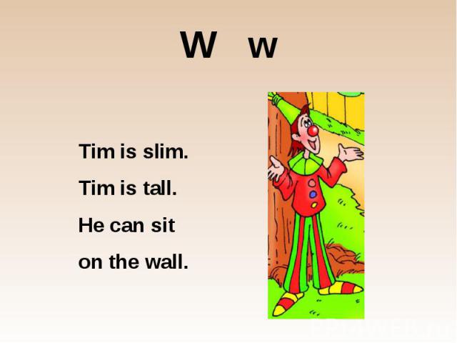 W w Tim is slim. Tim is tall. He can sit on the wall.