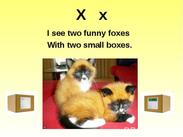 X x I see two funny foxes With two small boxes.