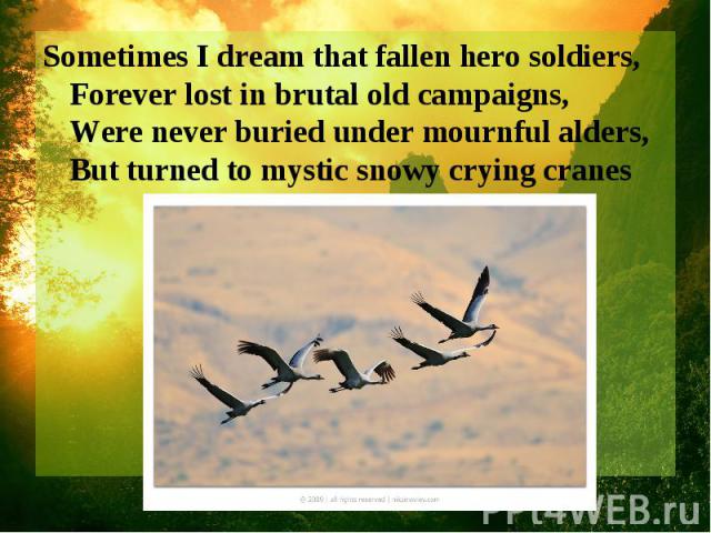 Sometimes I dream that fallen hero soldiers, Forever lost in brutal old campaigns, Were never buried under mournful alders, But turned to mystic snowy crying cranes
