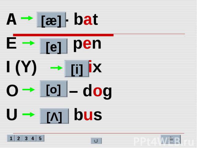 A - bat A - bat E - pen I (Y) - six O – dog U - bus