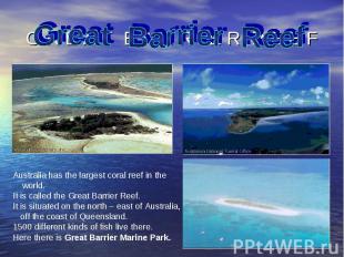 Australia has the largest coral reef in the Australia has the largest coral reef