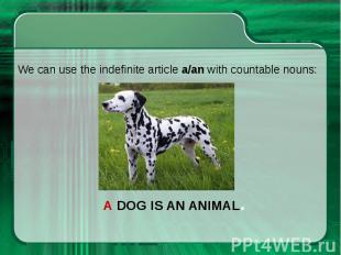 We can use the indefinite article a/an with countable nouns: We can use the inde