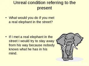 What would you do if you met a real elephant in the street? What would you do if