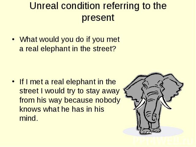 What would you do if you met a real elephant in the street? What would you do if you met a real elephant in the street? If I met a real elephant in the street I would try to stay away from his way because nobody knows what he has in his mind.