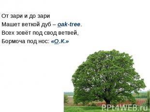 От зари и до зари Машет веткой дуб – oak-tree. Всех зовёт под свод ветвей, Бормо