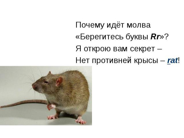 Почему идёт молва «Берегитесь буквы Rr»? Я открою вам секрет – Нет противней крысы – rat!