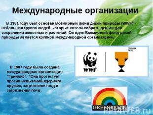 Международные организации В 1961 году был основан Всемирный фонд дикой природы (
