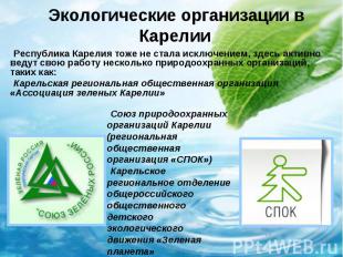 Экологические организации в Карелии Республика Карелия тоже не стала исключением