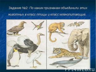 Задание №2: По каким признакам объединили этих животных в класс птицы и класс мл