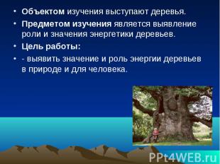 Объектом изучения выступают деревья. Объектом изучения выступают деревья. Предме