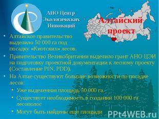 Алтайский проект Алтайское правительство выделило 50 000 га под посадку «Киотски