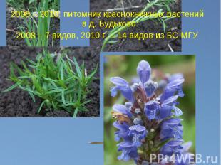 2008 – 2010: питомник краснокнижных растений в д. Будьково: 2008 – 2010: питомни