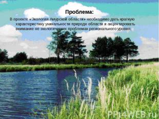 В проекте «Экология Амурской области» необходимо дать краткую характеристику уни