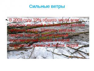 Сильные ветры В 2008 году 19% общего числа всех опасных явлений в России составл