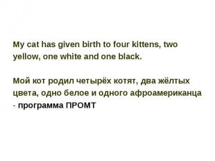 My cat has given birth to four kittens, two yellow, one white and one black. Мой