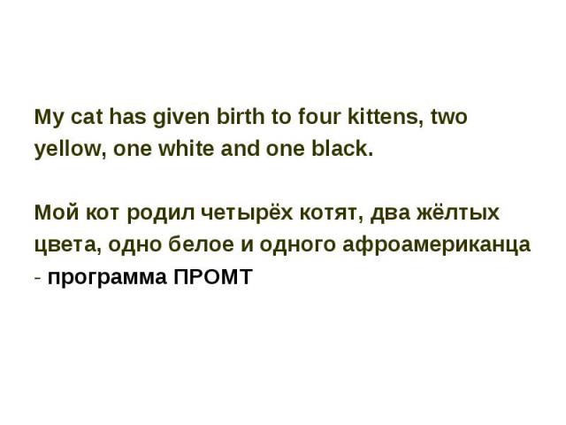 My cat has given birth to four kittens, two yellow, one white and one black. Мой кот родил четырёх котят, два жёлтых цвета, одно белое и одного афроамериканца - программа ПРОМТ