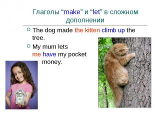 The dog made the kitten climb up the tree. The dog made the kitten climb up the