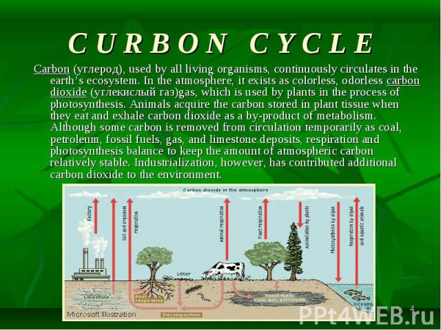 Carbon (углерод), used by all living organisms, continuously circulates in the earth’s ecosystem. In the atmosphere, it exists as colorless, odorless carbon dioxide (углекислый газ)gas, which is used by plants in the process of photosynthesis. Anima…