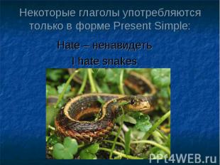 Некоторые глаголы употребляются только в форме Present Simple: Hate – ненавидеть