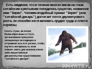 Есть сведения, что в течение многих веков на глаза китайским крестьянам попадало