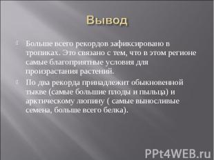 Больше всего рекордов зафиксировано в тропиках. Это связано с тем, что в этом ре