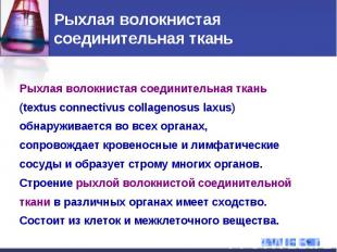 Рыхлая волокнистая соединительная ткань