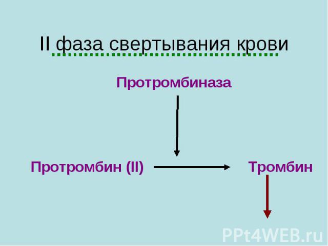 II фаза свертывания крови Протромбиназа Протромбин (II) Тромбин